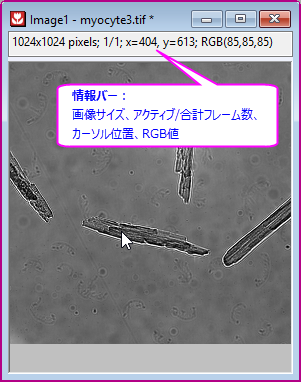 Importing Images introduction 02.png