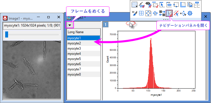 Multi Frame Image Plot Browser Graph.png