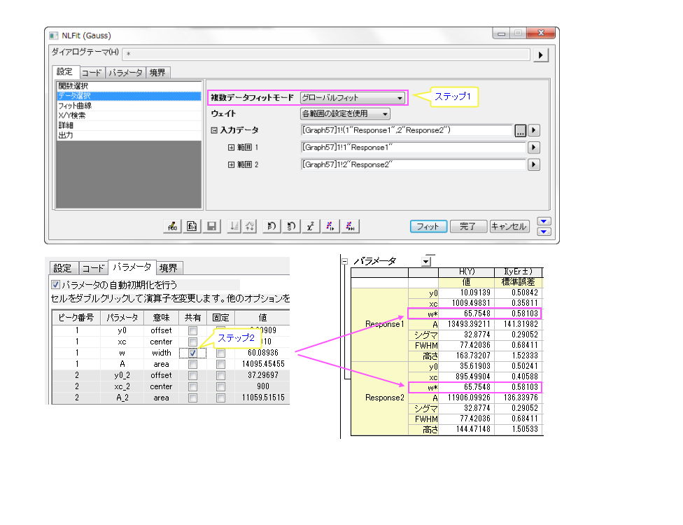 NLFit Dialog Quick Start 16.png