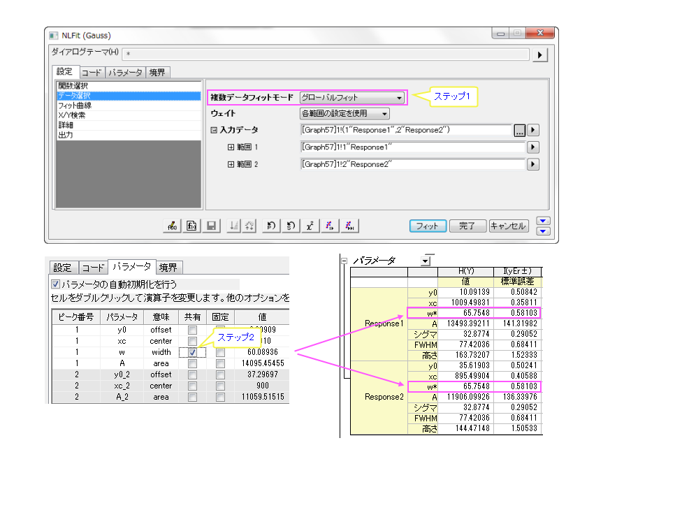 NLFit Dialog Quick Start 16.png