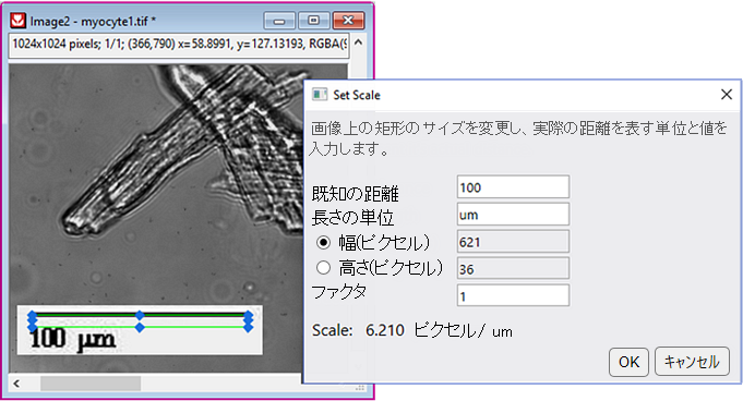 Set Scale Dialog.png
