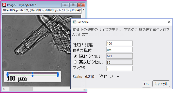 Set Scale Dialog.png