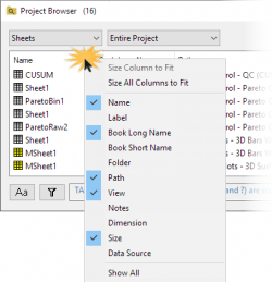 Project Browser 04.png