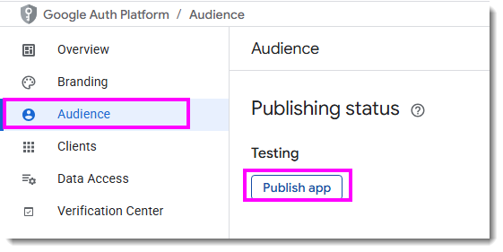Google API Publish app.png