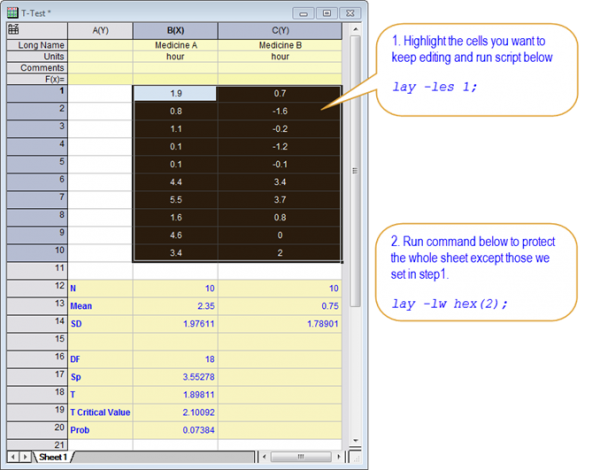FAQ973 worksheet protection.png