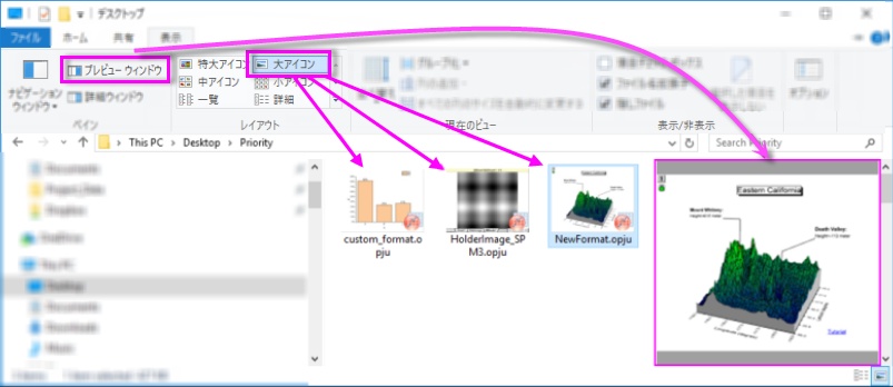 FAQ-926 Windows File Explorer Views.png