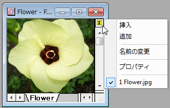 Image028.png