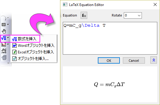 FAQ991 Latex Dialog.png