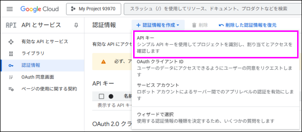 Google API key.png