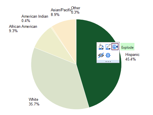 2D Pie Chart Graph4.png