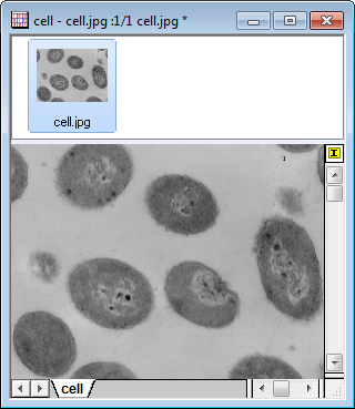 SP Tutorial 2DFFT 1.png