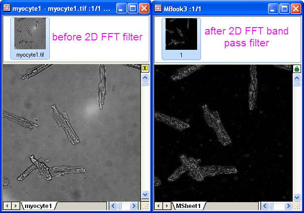 SP Tutorial 2DFFT 12.png