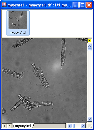 SP Tutorial 2DFFT 9.png