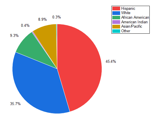 2D Pie Chart Graph1.png