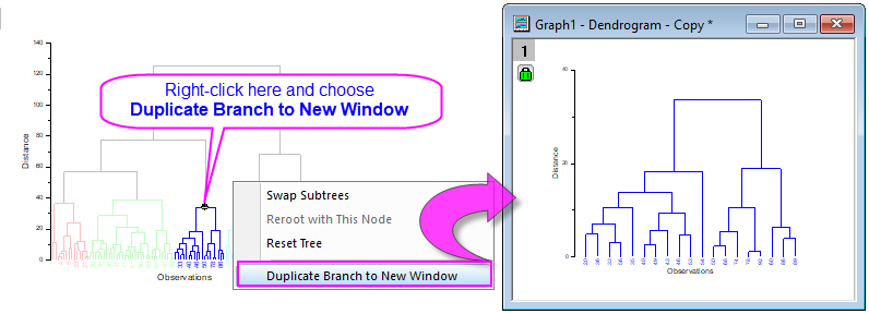 Dendrogram zoom1.PNG