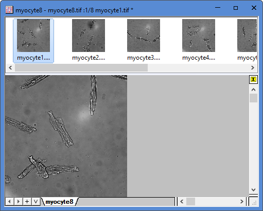 Flattened Colormap Surfaces with Increasing Z Offset 03.png