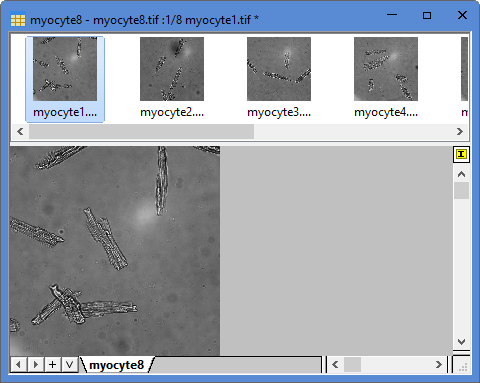 Flattened Colormap Surfaces with Increasing Z Offset 03.png