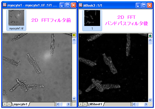 Tutorial 2DFFT 12.png