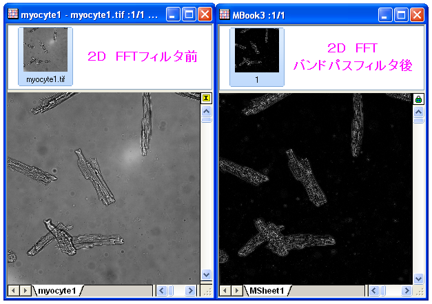 Tutorial 2DFFT 12.png