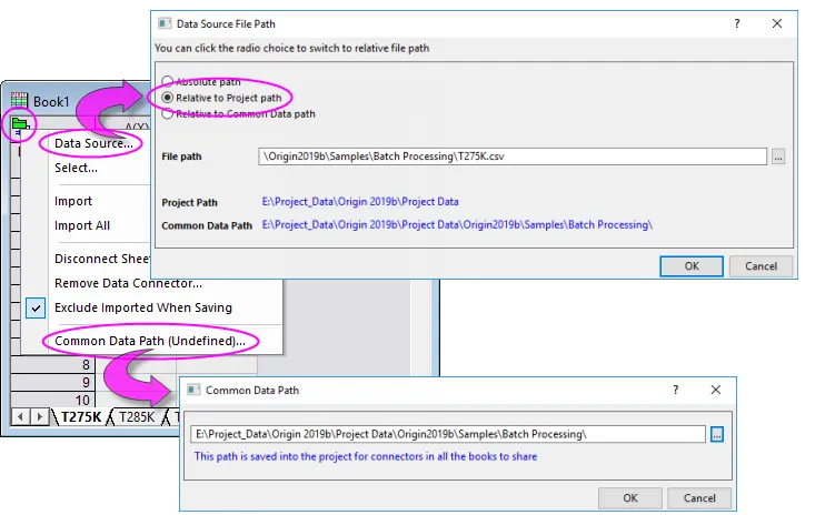 UG Common Data Path Dialogs.png
