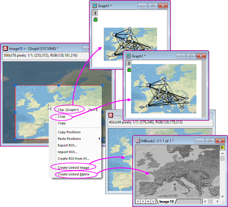 Image window ROI context menu.png