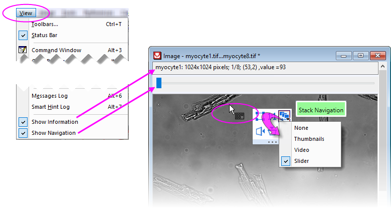 UG Image Window Toggle Nav Display.png