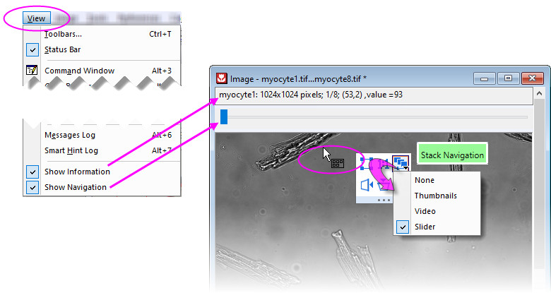 UG Image Window Toggle Nav Display.png