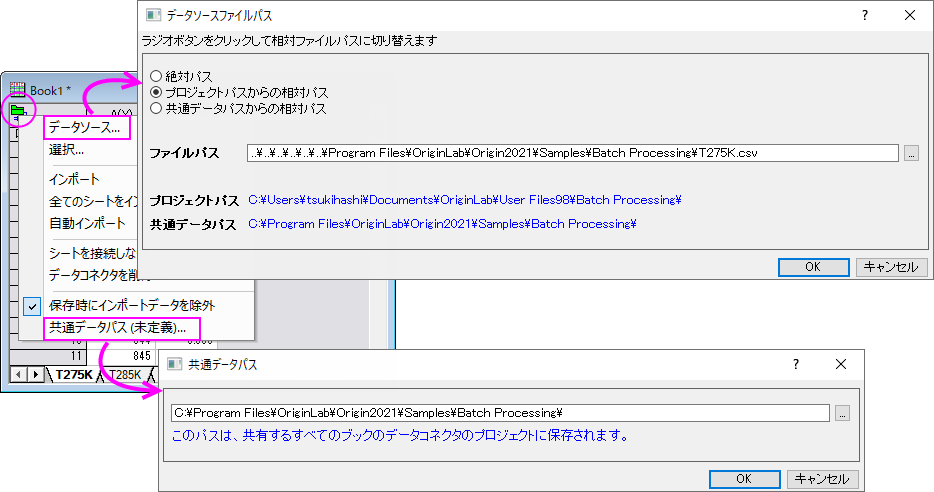 UG Common Data Path Dialogs.png