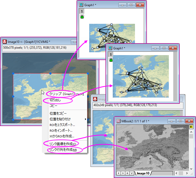 Image window ROI context menu.png