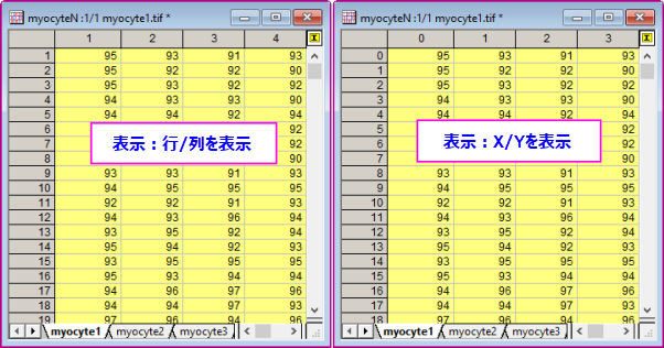 Matrix Row Index vs XYValues.png