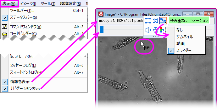 UG Image Window Toggle Nav Display.png