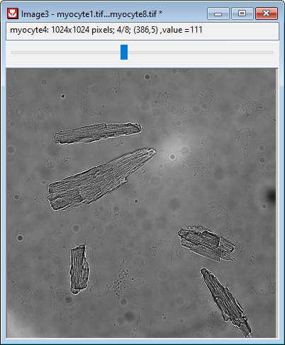 Image Window Multiple File Stack.png