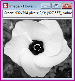 Split 4.png