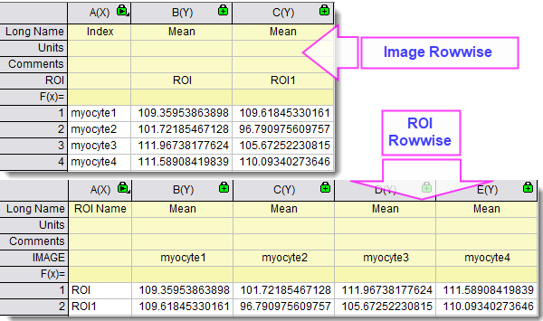 Cvroiprofile layout.png