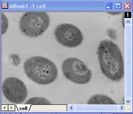 Img2m help English files image004.jpg