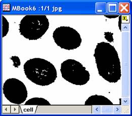 ImgAutoBinary help English files image004.jpg