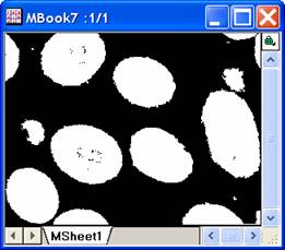 ImgBinary help English files image006.jpg