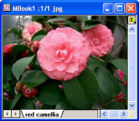 ImgColorReplace help English files image004-1.jpg