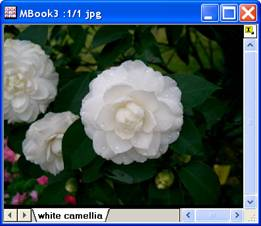 Image:imgColorlevel_help_English_files_image002.jpg Image:imgColorlevel_help_English_files_image002.jpg