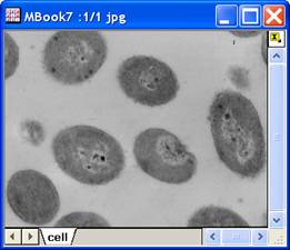 ImgCrop help English files image002.jpg