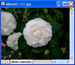 Image:imgFuncLUT_help_English_files_image004.jpg Image:imgFuncLUT_help_English_files_image004.jpg