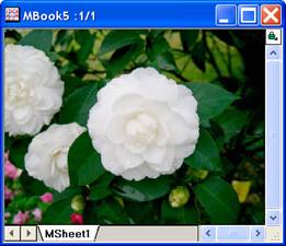 ImgFuncLUT help English files image006.jpg