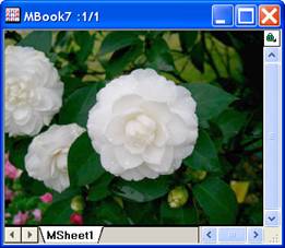 ImgGamma help English files image006.jpg