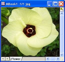 ImgGaussian help English files image004.jpg