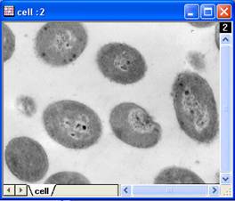 ImgHistcontrast help English files image006.jpg