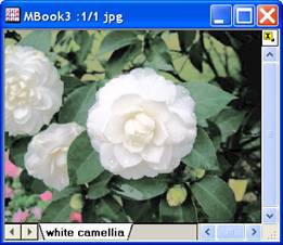 Image:imgHisteq_help_English_files_image006.jpg Image:imgHisteq_help_English_files_image006.jpg