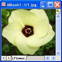 Image:imgInvert_help_English_files_image004.jpg Image:imgInvert_help_English_files_image004.jpg