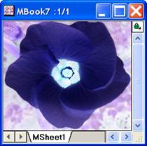 ImgInvert help English files image006.jpg