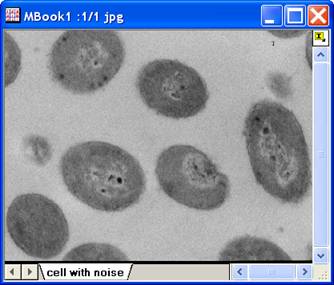 ImgMedian help English files image004.jpg