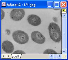 Image:imgOffset_help_English_files_image004.jpg Image:imgOffset_help_English_files_image004.jpg